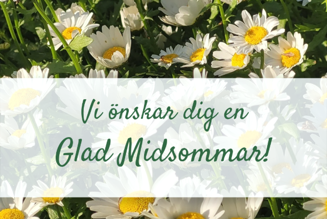En närbild på många blommor, prästkragar. På bilden står det "Vi önskar dig en glad midsommar"
