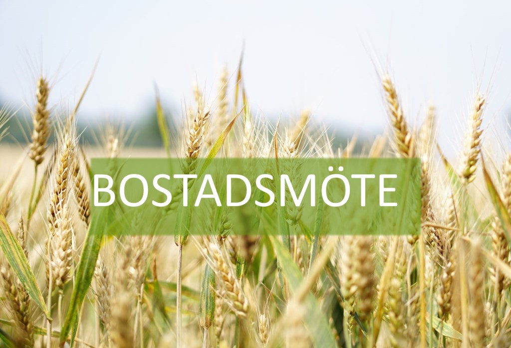 Bildtext saknas